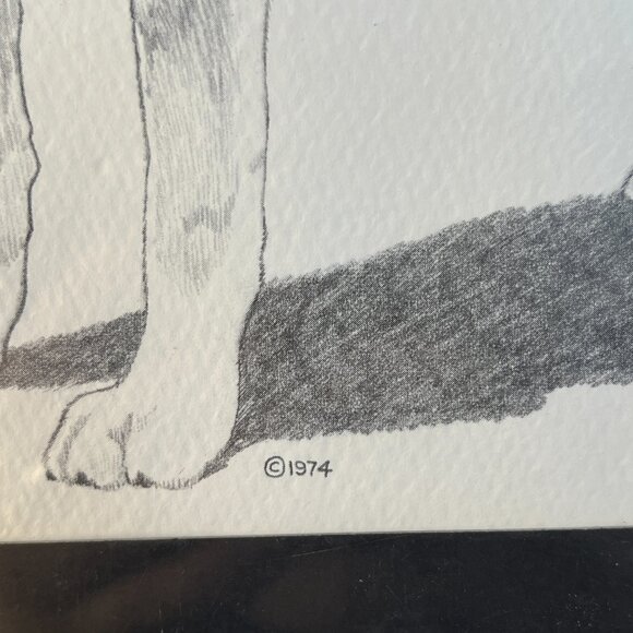 Vintage 1974 Labrador Sketch - Picture 6 of 8